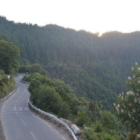 Hotel Crystal Palace Dhanaulti Esterno foto