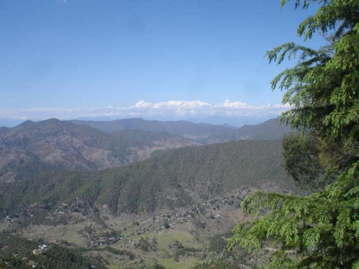 Hotel Crystal Palace Dhanaulti Esterno foto